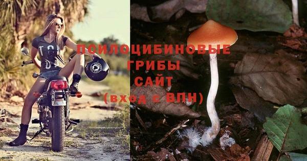ПСИЛОЦИБИНОВЫЕ ГРИБЫ Волоколамск