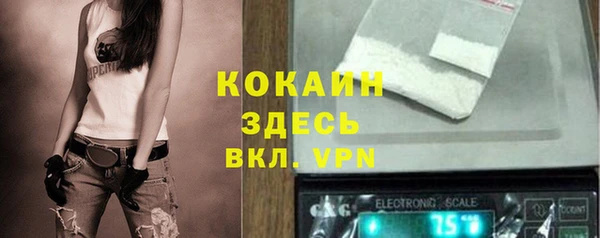 амф Верхний Тагил