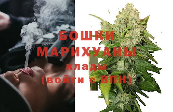 молекула духа Вязники