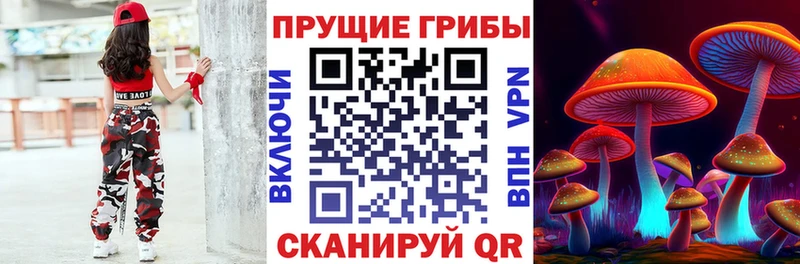 Купить закладки  Мензелинск  Галлюциногенные грибы Psilocybine cubensis 